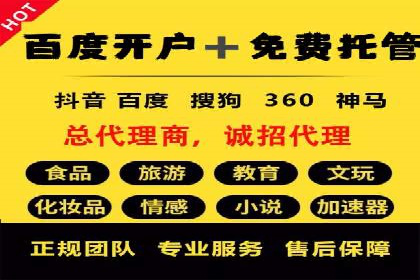 竞价推广成功案例解析